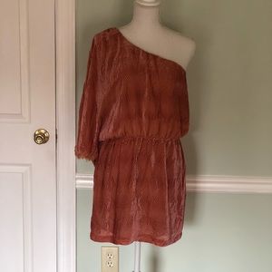 Champagne & Strawberry One Shoulder Dress